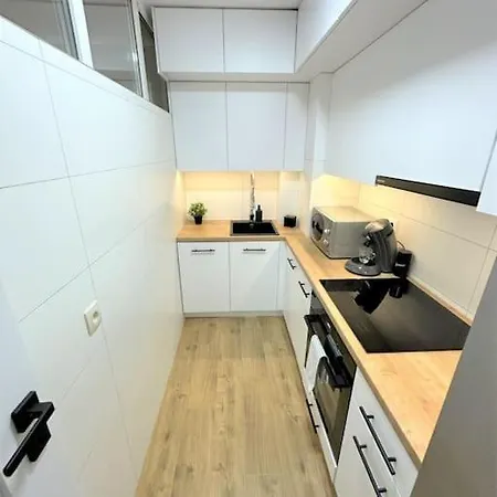 Exclusive 3br! In City Center +netflix! * ורשה